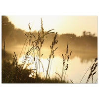 003e5aa6-cb89-402b-8af0-8c0806543031