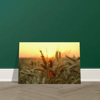 00bc2dbc-59d0-4245-bef7-2fd64ad27a1a