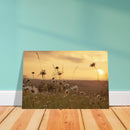 016b6787-1c62-4dfc-9740-8cfd66afafed