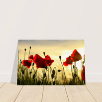 01f76707-e918-47dd-9dbb-13fbcf14c01f