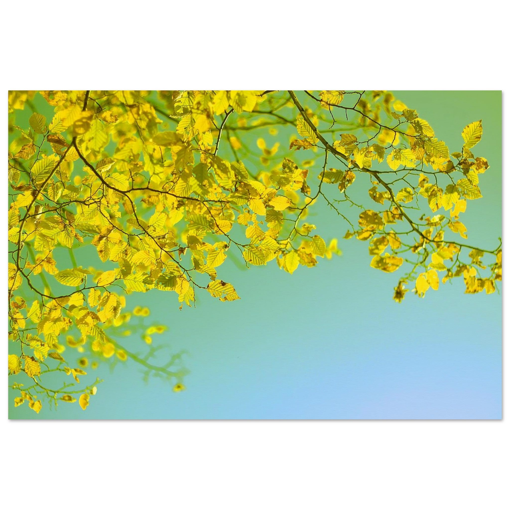 Golden Leaves Drift in Blue — Nature Fine Art Poster | BETVA Wall Art