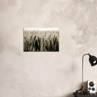 030647c1-0418-45c5-9a5f-ec3ab8e3f239