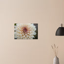 057b888f-36ce-46b6-931d-63ed884faf00