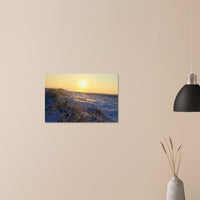 Frosted grass blades glowing in low golden sunlight during a cold morning in Prekmurje, Slovenia — BETVA fine art nature poster