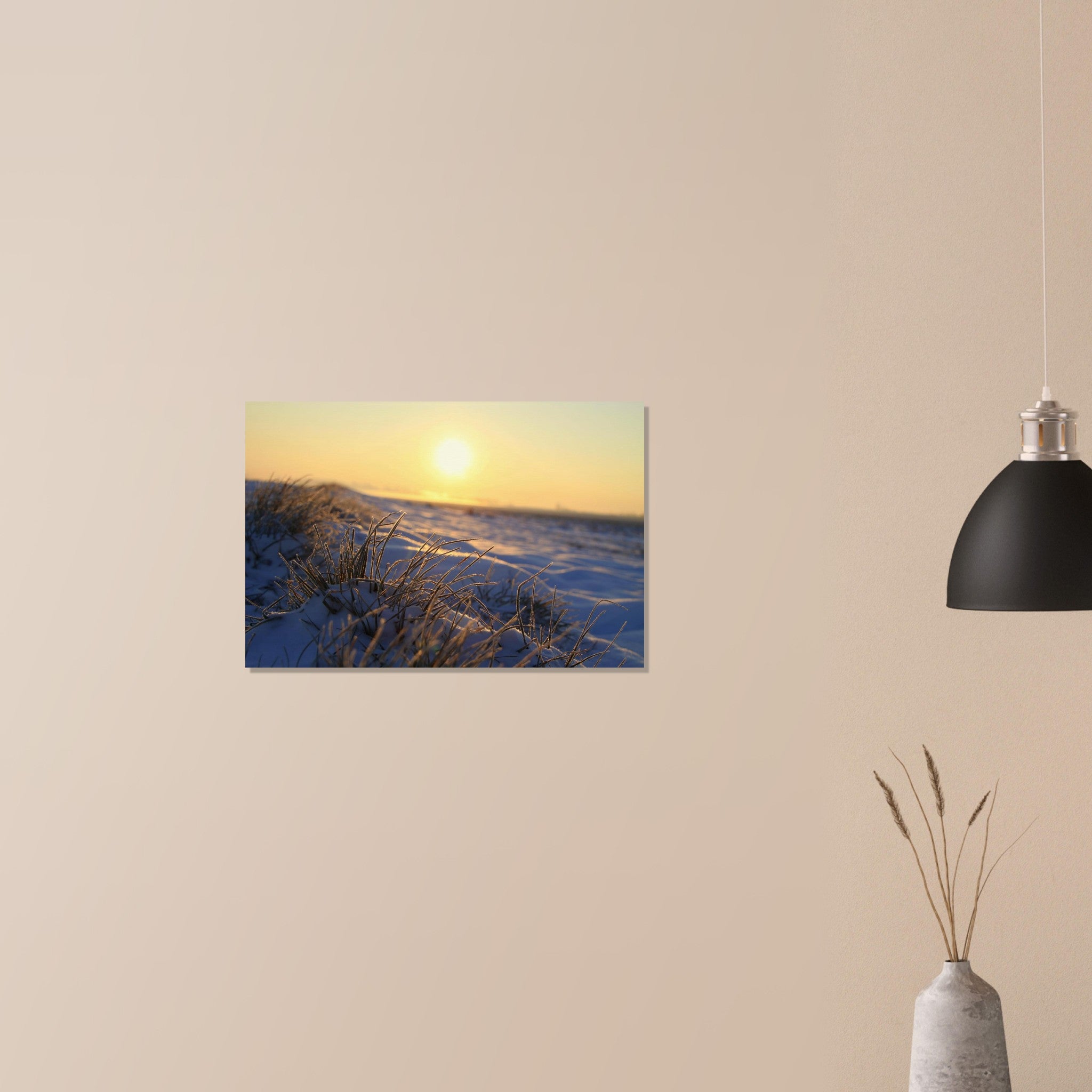 Frosted grass blades glowing in low golden sunlight during a cold morning in Prekmurje, Slovenia — BETVA fine art nature poster