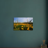 0cb417d6-e410-458f-8a63-da9296717fc2