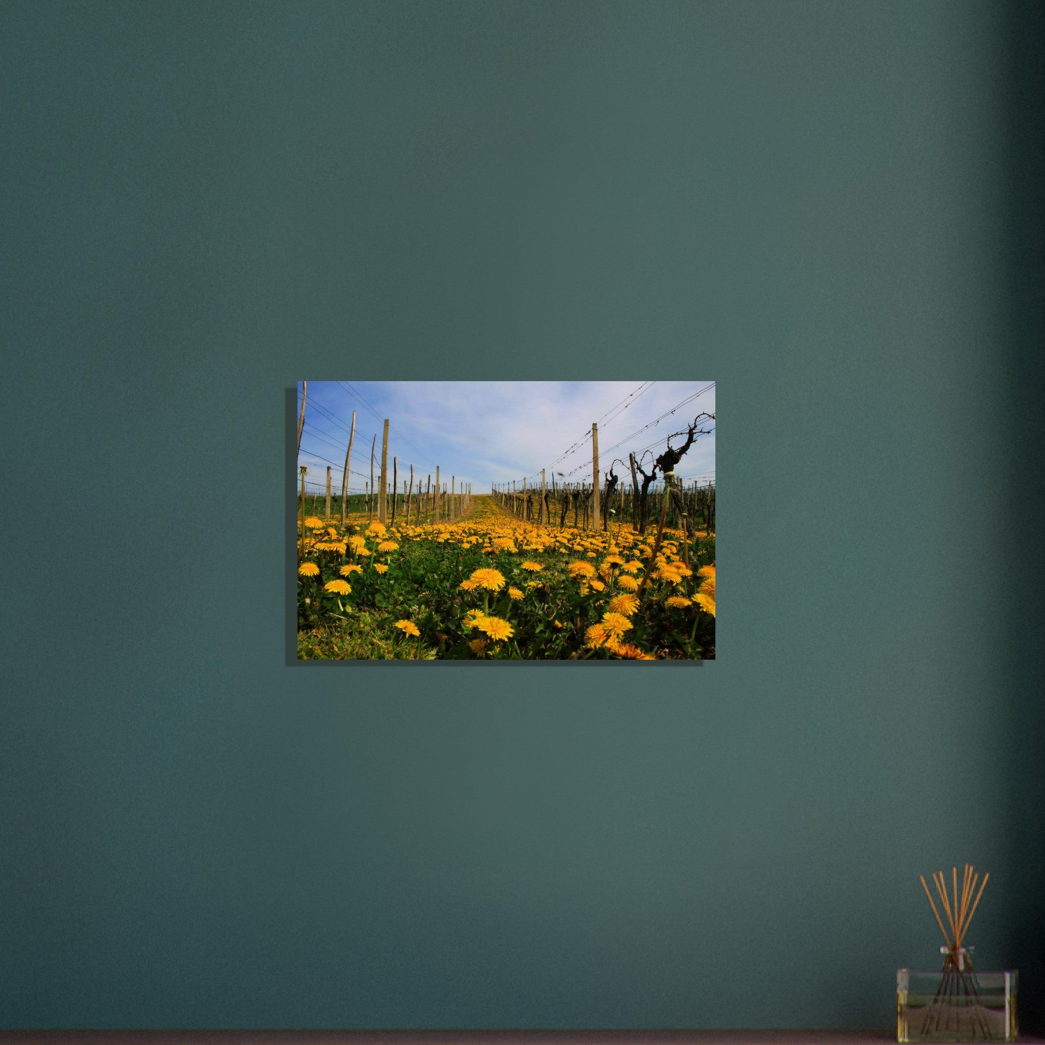 0cb417d6-e410-458f-8a63-da9296717fc2