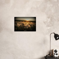 0e2aa904-d508-4891-8d0e-0a3f3d277040