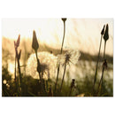 121c5bec-0416-444a-ac22-cdef5621b2be