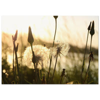 121c5bec-0416-444a-ac22-cdef5621b2be