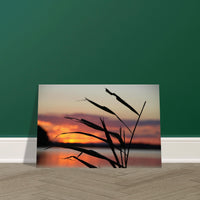 12a15953-bc05-4349-9869-7ba1c2449be3