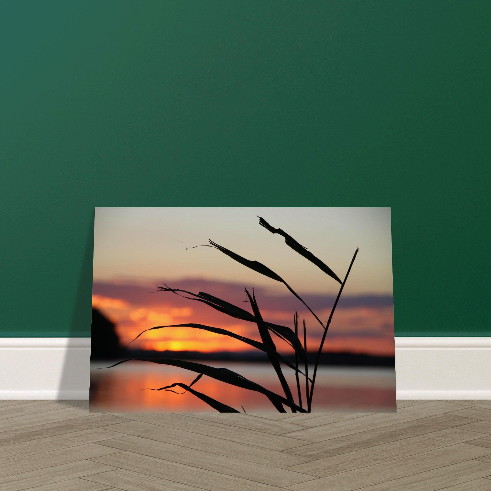 12a15953-bc05-4349-9869-7ba1c2449be3