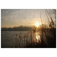 1306d415-da49-4397-b334-7cb7b8680de9