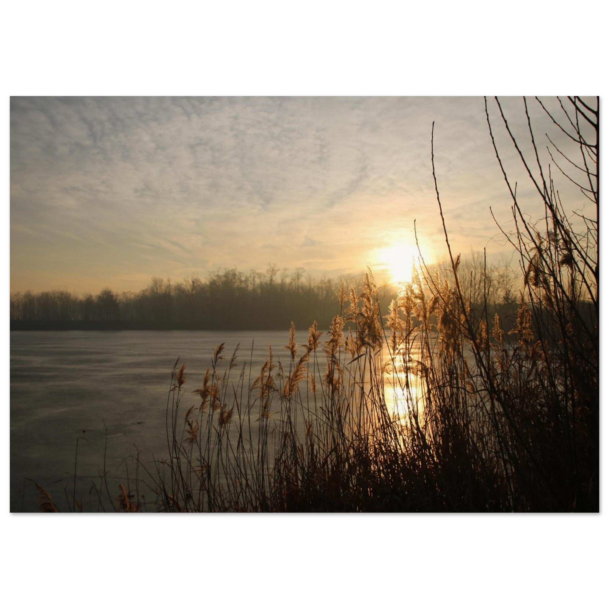 1306d415-da49-4397-b334-7cb7b8680de9