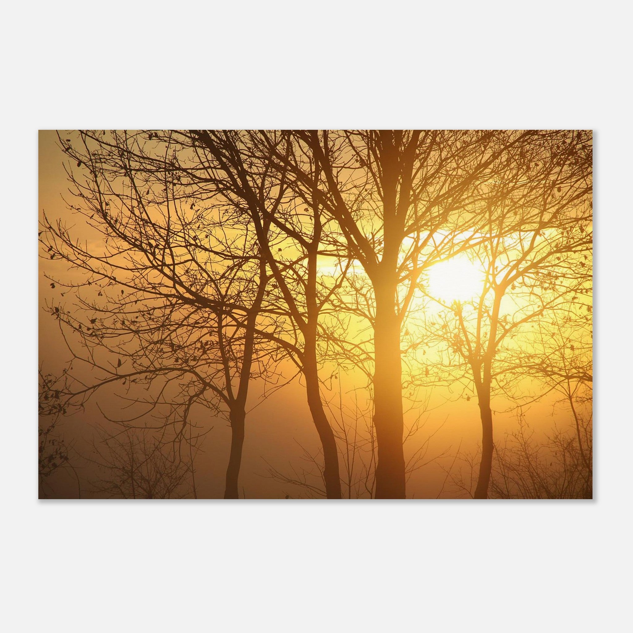 13a49cd2-a2b5-45d1-a72a-4210d8ae5879