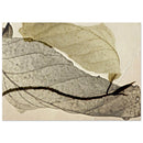 14b19601-6ffa-4503-98c4-12de81ccb567