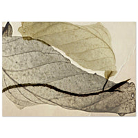 14b19601-6ffa-4503-98c4-12de81ccb567