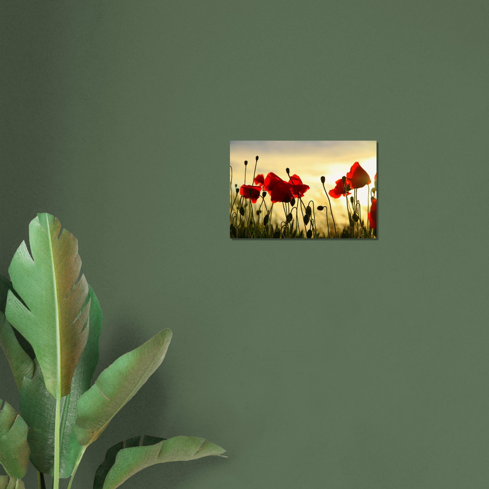 14c6de0f-42c1-42d4-a586-71ffcd291f9b