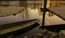 Prekmurje Dawn Diptych — 2 BETVA Nature Prints