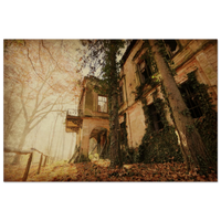Traditional house covered in lush green ivy in the Prekmurje countryside — BETVA fine art nature poster