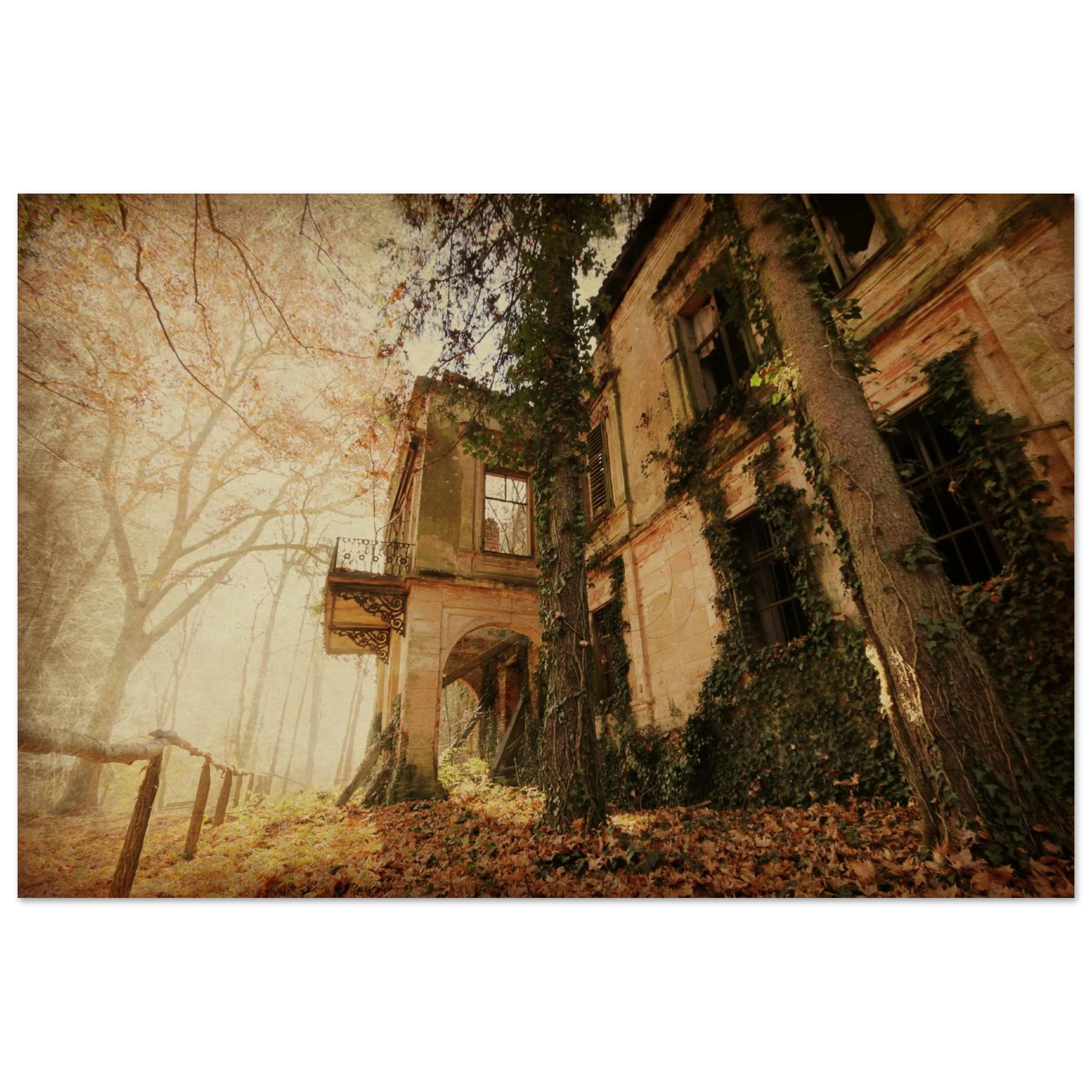 The Ivy House — Nature Fine Art Poster | BETVA Wall Art