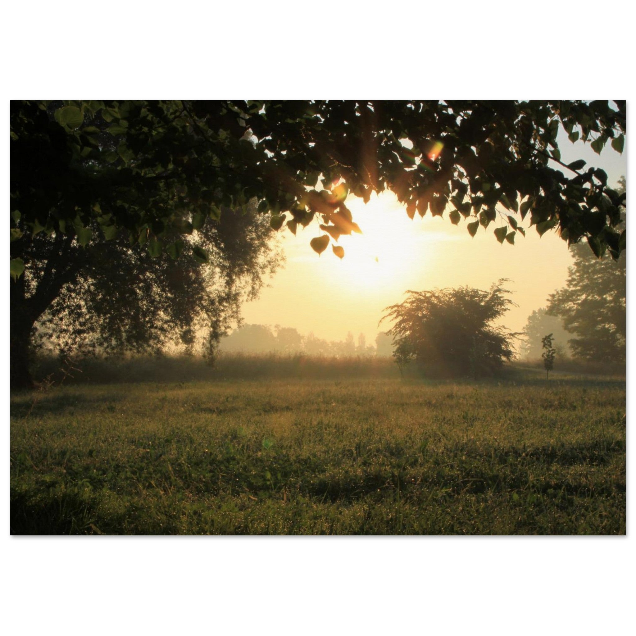 174e3f39-34e0-47e4-8866-ef0c894690f7