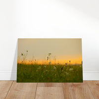 17e8a4a0-26a2-4586-ad15-e7b6d6e51d9b