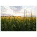 1916bbe4-d1d3-4f62-bb17-357cfeb653da