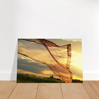 1db3e830-7c81-464e-9b81-ead4d9bc46e4