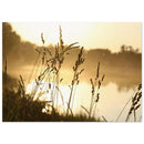 1dde85f4-87c8-4df2-a7d4-34dcb52abed6