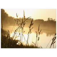 1dde85f4-87c8-4df2-a7d4-34dcb52abed6