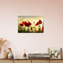 1e124316-40a7-40a5-aeb3-09ca62376751