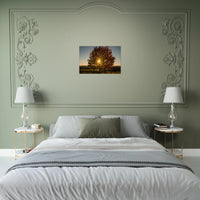 20c8398d-29af-4f1b-8191-c1f76bf11e64