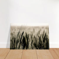 22308077-25fe-4e07-baed-f11613aa35d4