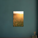 22e36e7a-29fb-4c7e-b743-6d6edfcf4a4d