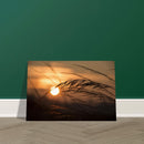 236628a4-209a-469b-bdd5-8fdccf2c733c