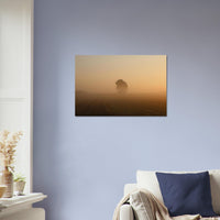 23d11a52-fc10-4f16-9af9-7614ea07b894