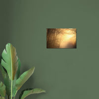 Morning fog parting to reveal warm golden sunlight over a Prekmurje landscape, Slovenia — BETVA fine art nature poster