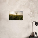 278c380a-781c-4c9c-ba42-d2bb37ad27b2