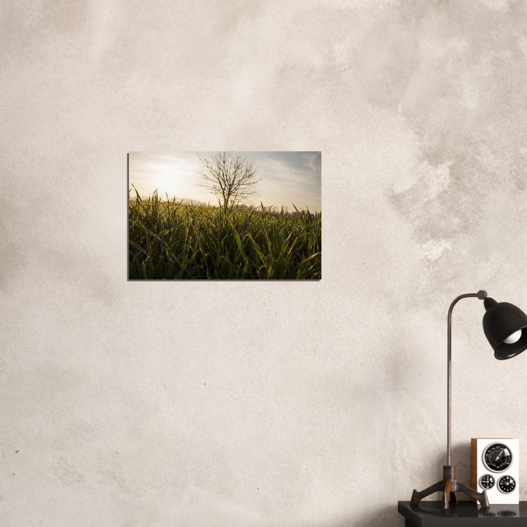 278c380a-781c-4c9c-ba42-d2bb37ad27b2