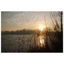 A calm winter lake resting under pale cold light in Prekmurje with bare trees reflected on still water — BETVA fine art nature poster