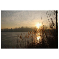 A calm winter lake resting under pale cold light in Prekmurje with bare trees reflected on still water — BETVA fine art nature poster