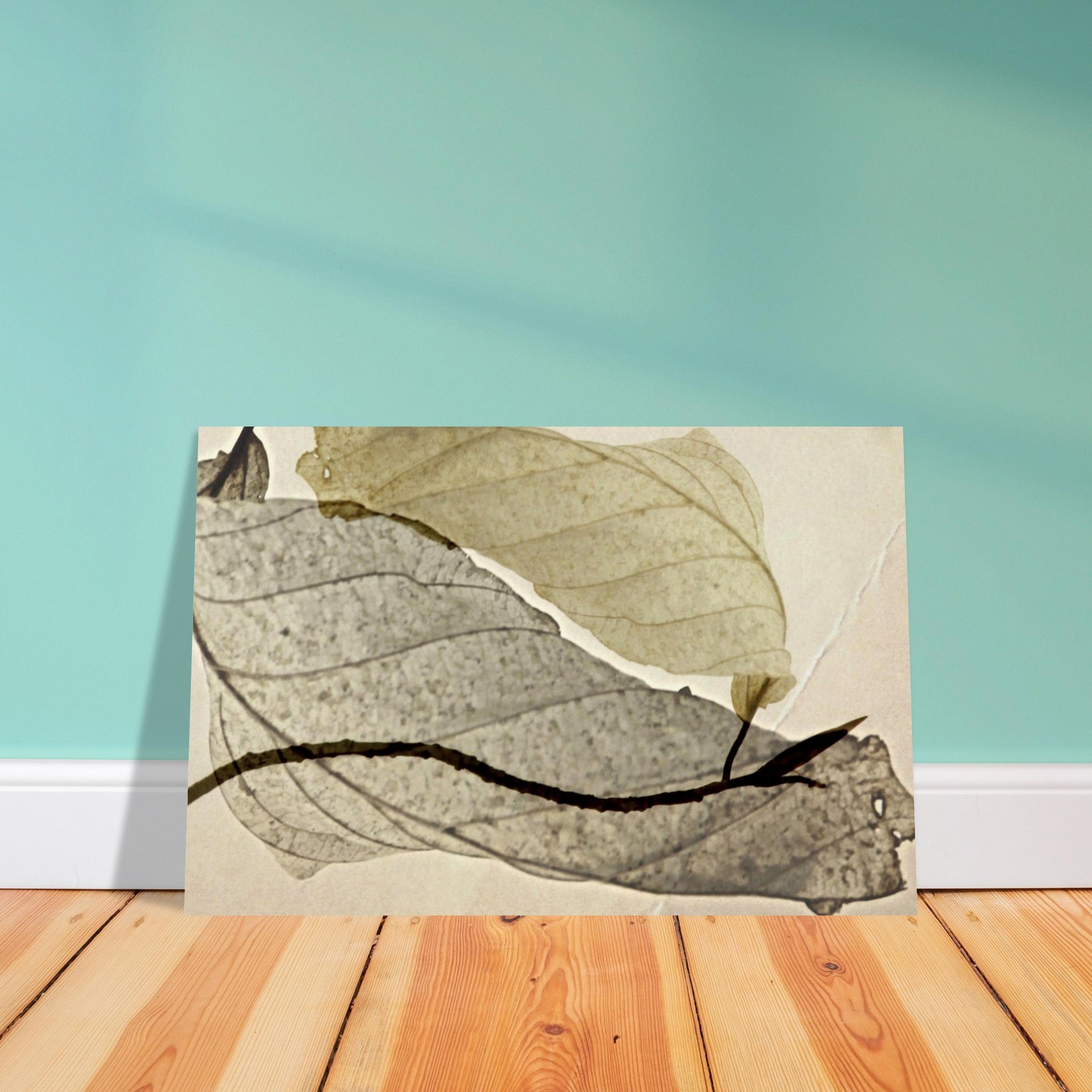 29c3b2ff-54df-44b6-bc62-b0dc7c46b93c