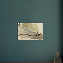 2a88b1fe-7d14-40f0-9be4-1976ee3c525d