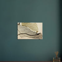 2a88b1fe-7d14-40f0-9be4-1976ee3c525d