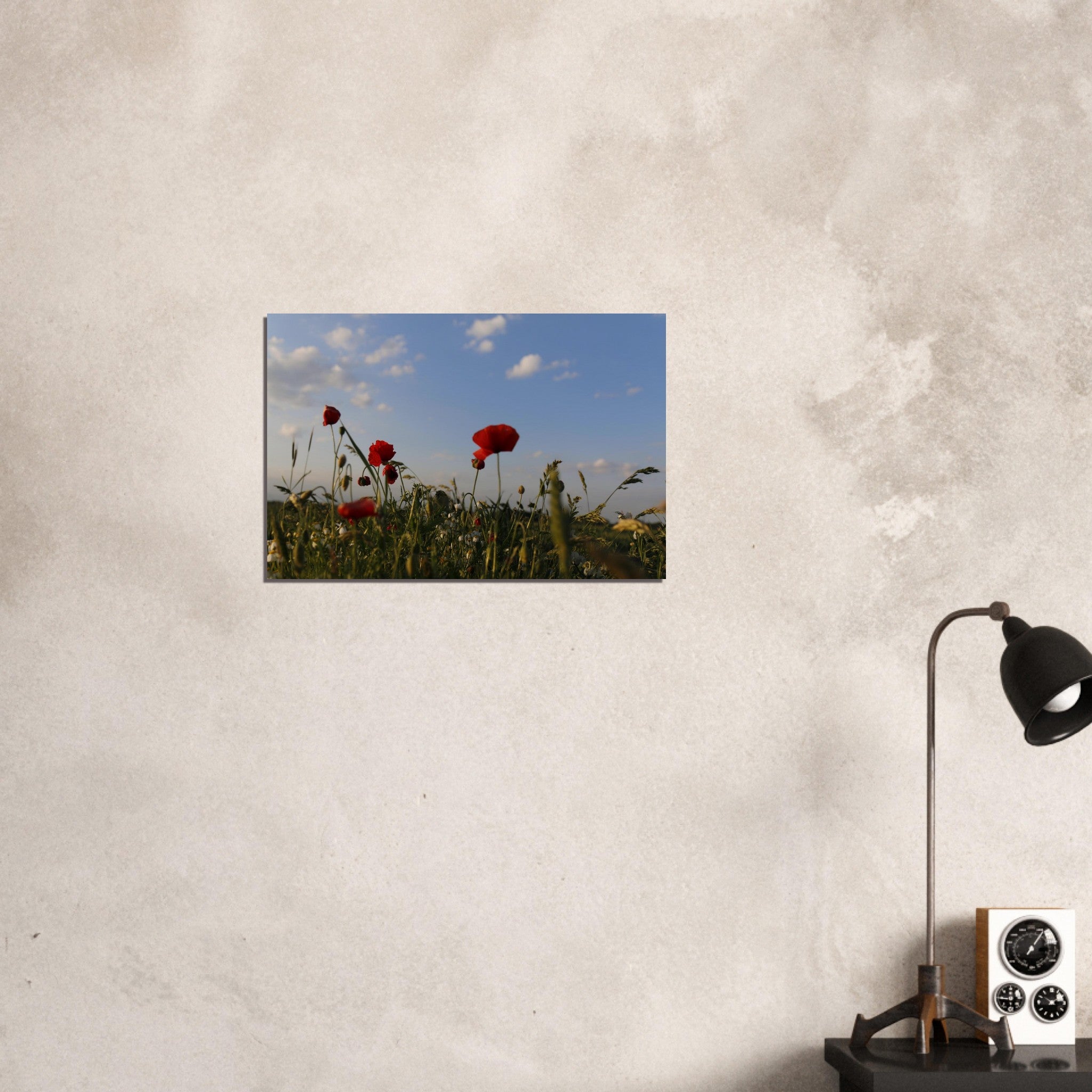 2a89e4b3-3351-4e65-bbe1-56202dbab21c