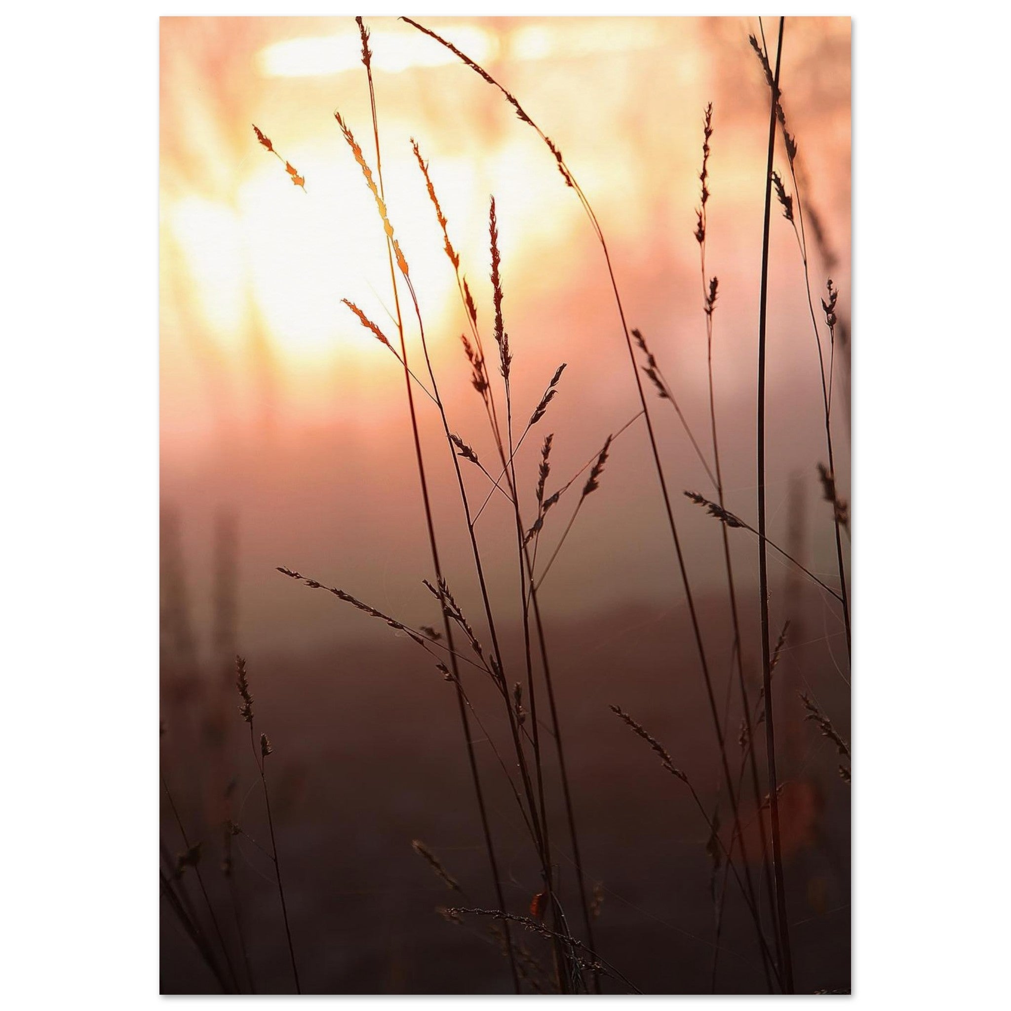 Grass Lines in Soft Fire — Nature Fine Art Poster | BETVA Wall Art