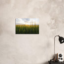 2ab882e2-8eed-4bd7-b346-d7d7bc424b2b