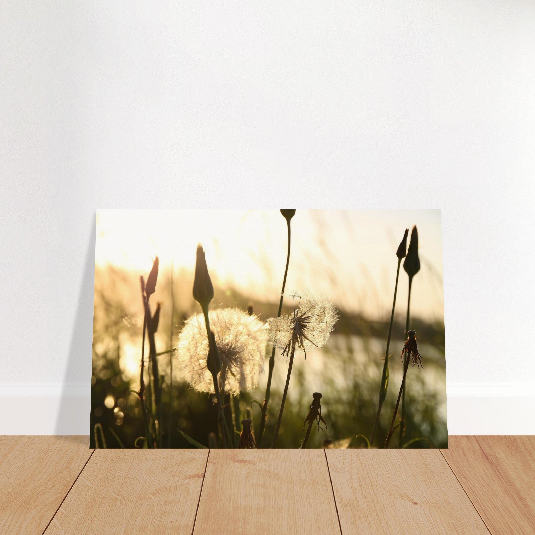 2c547d06-3bb2-4bab-8081-bb454514619f