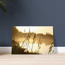 2c7f04f4-840a-4acd-ac69-42b951caa7c8